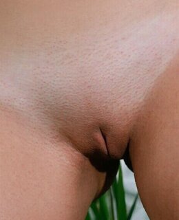 Виолла — фото 15